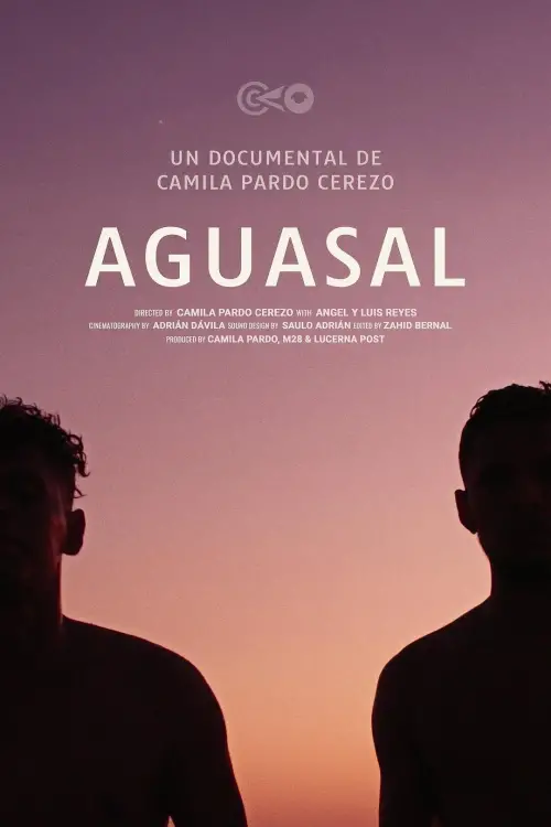 Movie poster "Aguasal"