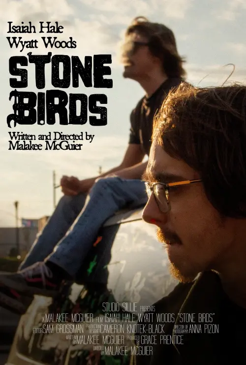 Movie poster "Stone Birds"