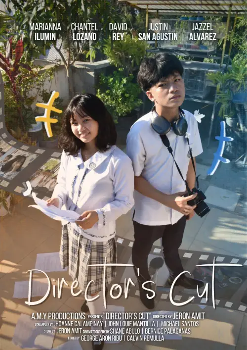 Movie poster "Director