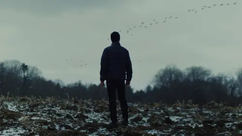 Watch film Wolves | Official Teaser Trailer