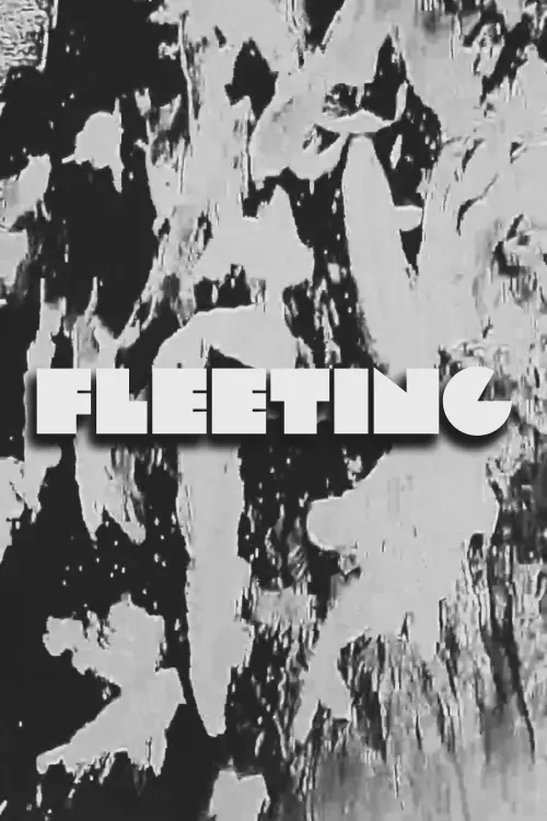 Movie poster "FLEETING"