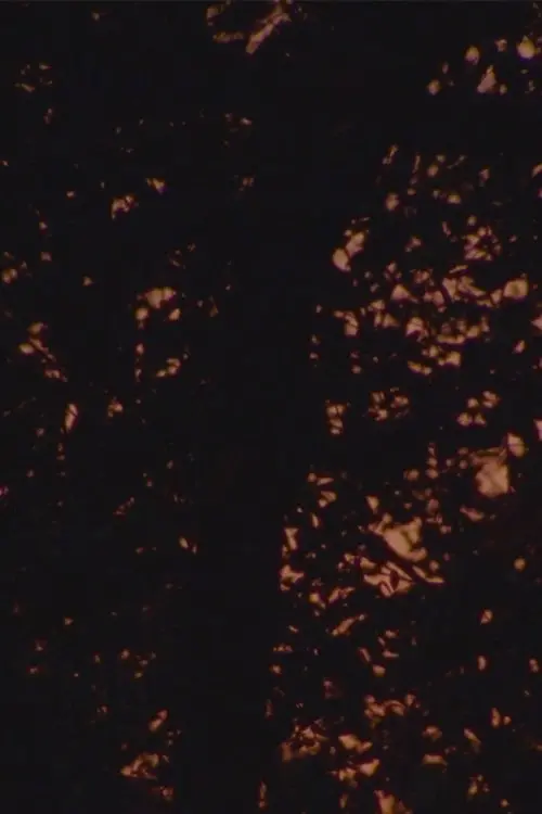 Movie poster "Solennelle"