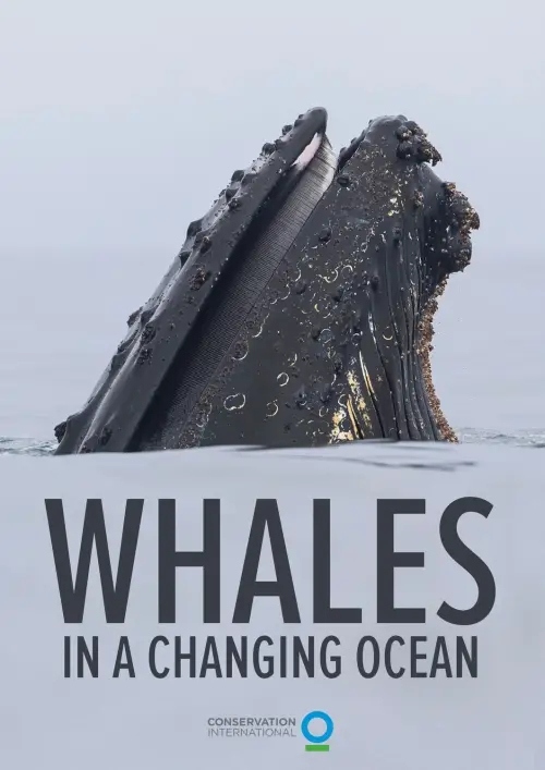Movie poster "Whales in a Changing Ocean"