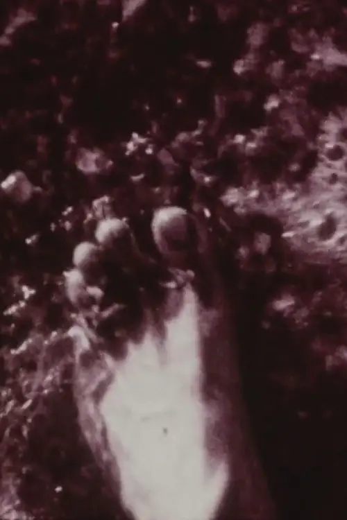 Movie poster "Footprints"