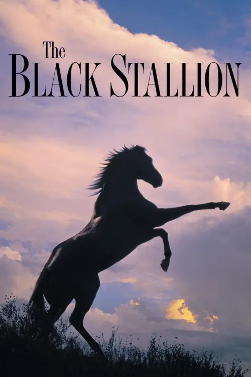Movie poster "The Black Stallion"