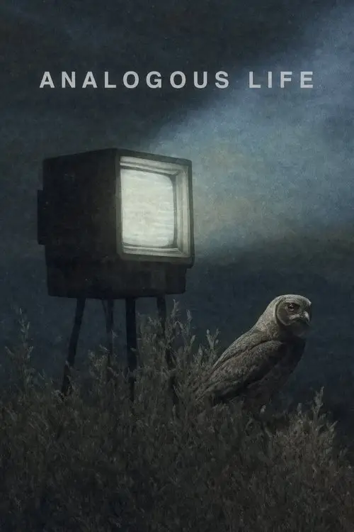 Movie poster "Analogous Life"