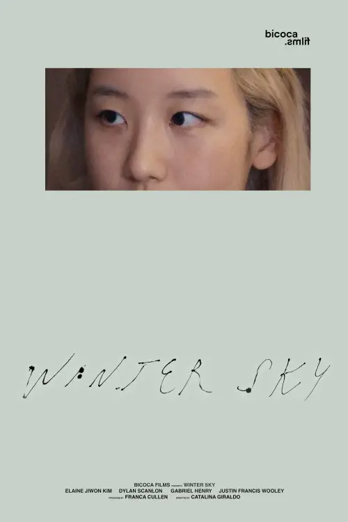 Movie poster "Winter Sky"