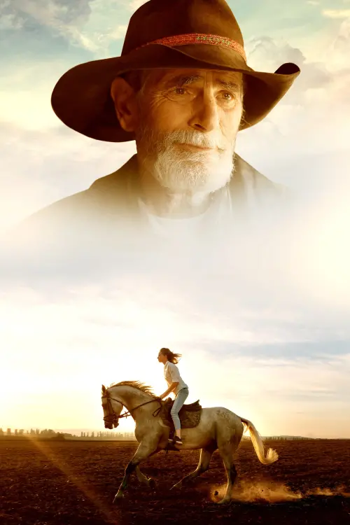 Movie poster "Before They Vanish"