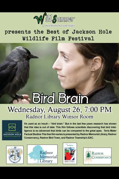 Movie poster "Bird Brain"
