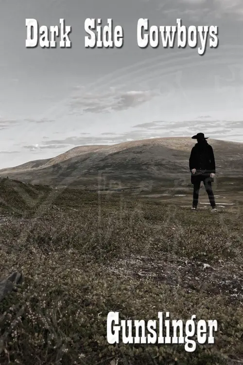 Movie poster "Dark Side Cowboys: Gunslinger"
