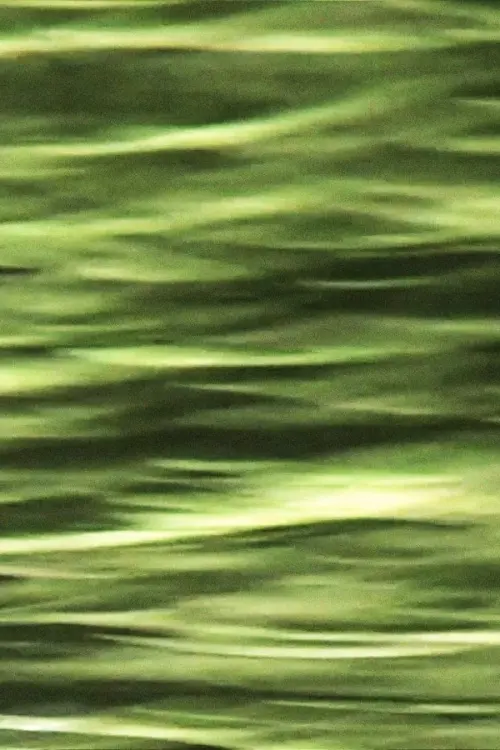 Movie poster "Reflections"