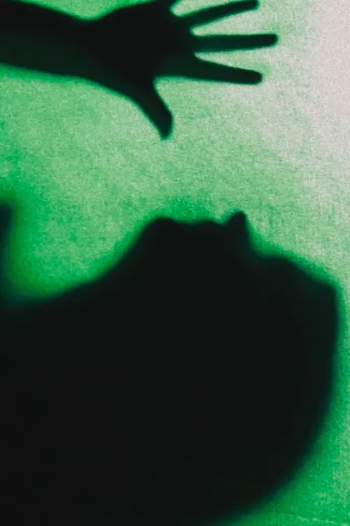 Movie poster "Penitentiary"