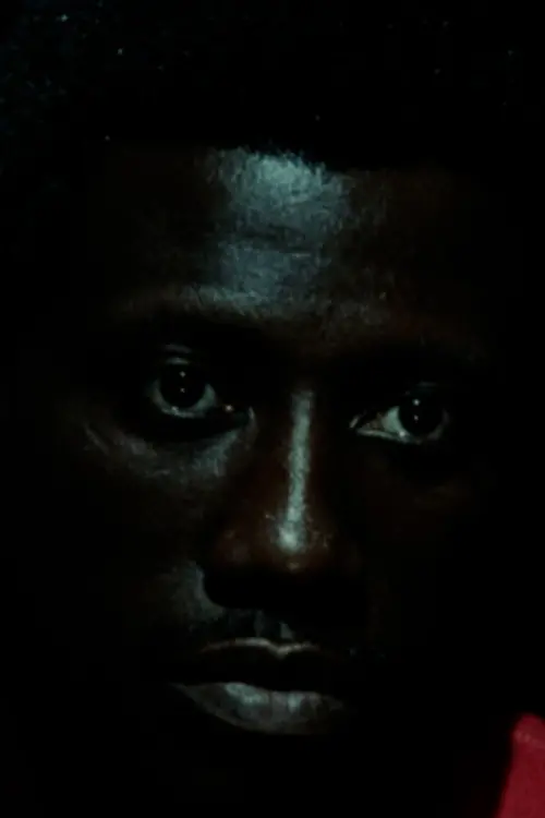 Movie poster "Another Other"