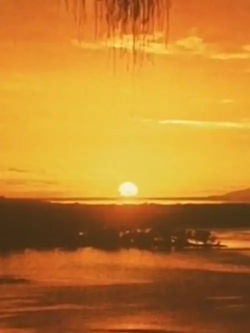 Movie poster "Artificial Paradise"