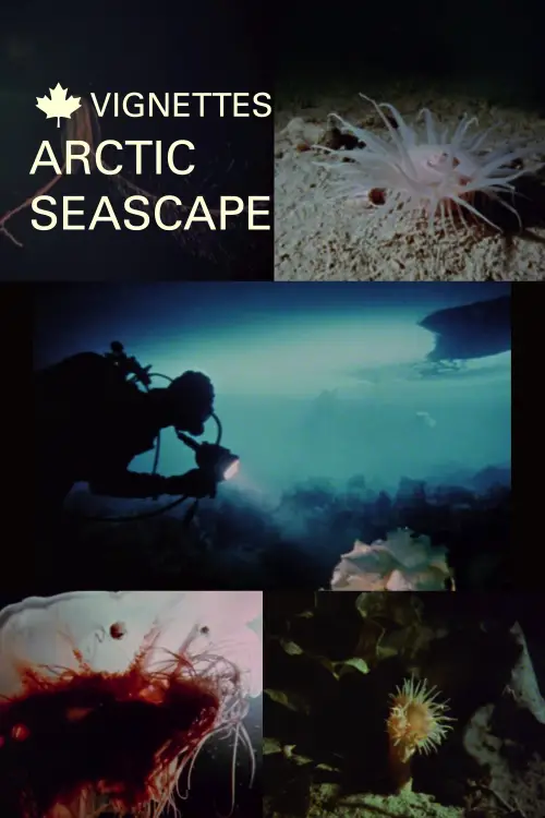 Movie poster "Canada Vignettes: Arctic Seascape"