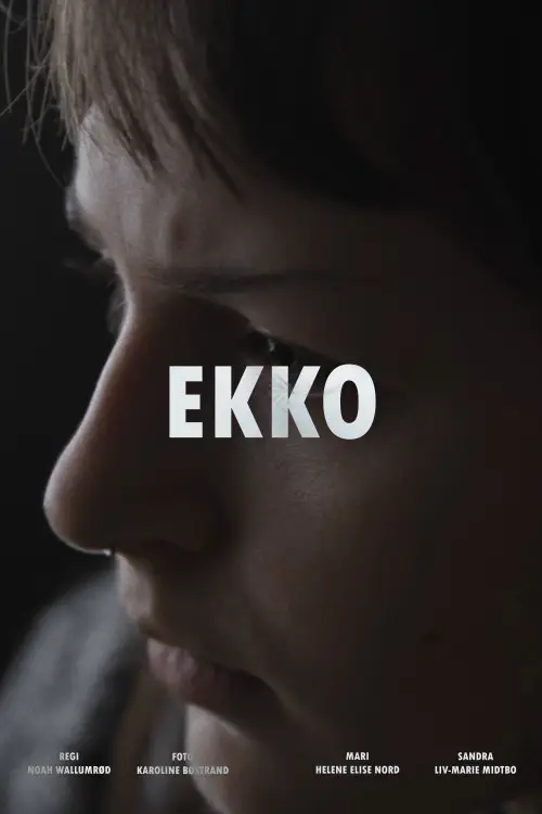 Movie poster "Echo"