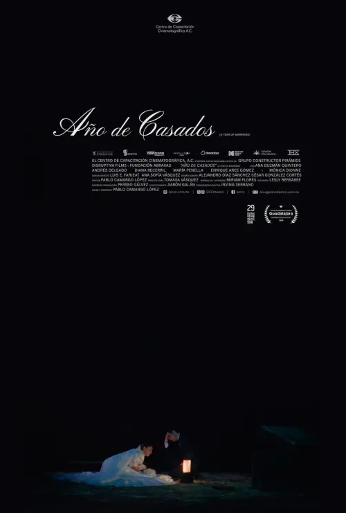Movie poster "A Year of Marriage"