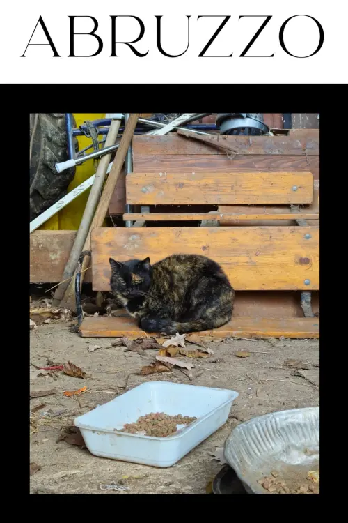 Movie poster "Abruzzo"