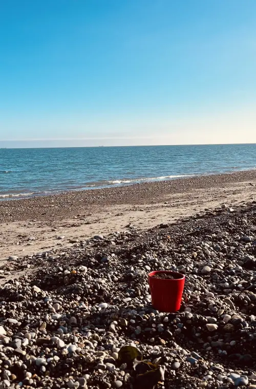 Movie poster "Naive Melody"