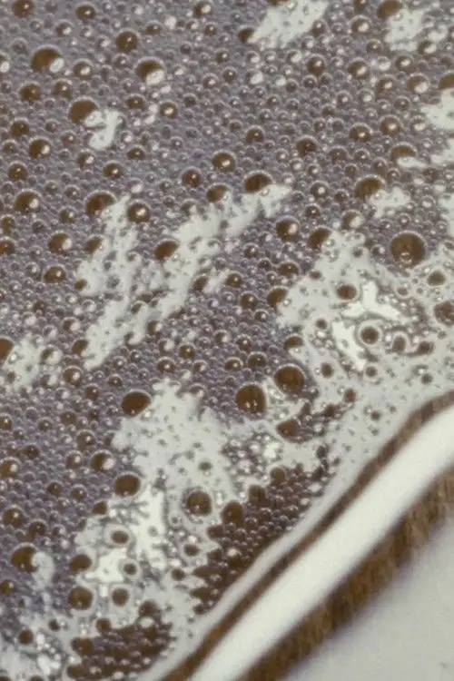 Movie poster "Domestic Demon"