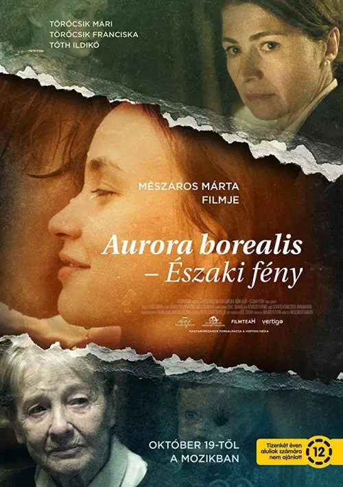 Movie poster "Aurora Borealis: Northern Light"