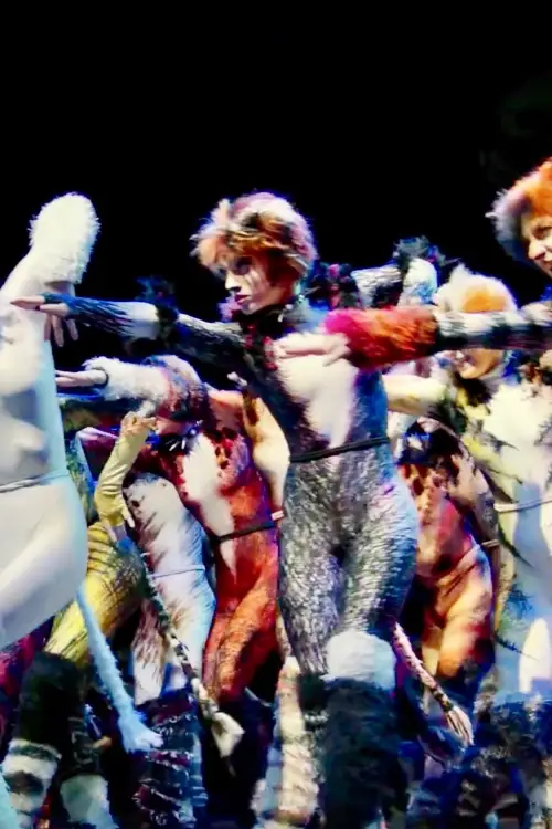 Movie poster "The Show Must Go On"