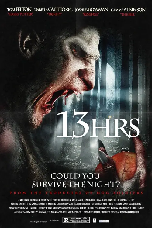 Movie poster "13Hrs"