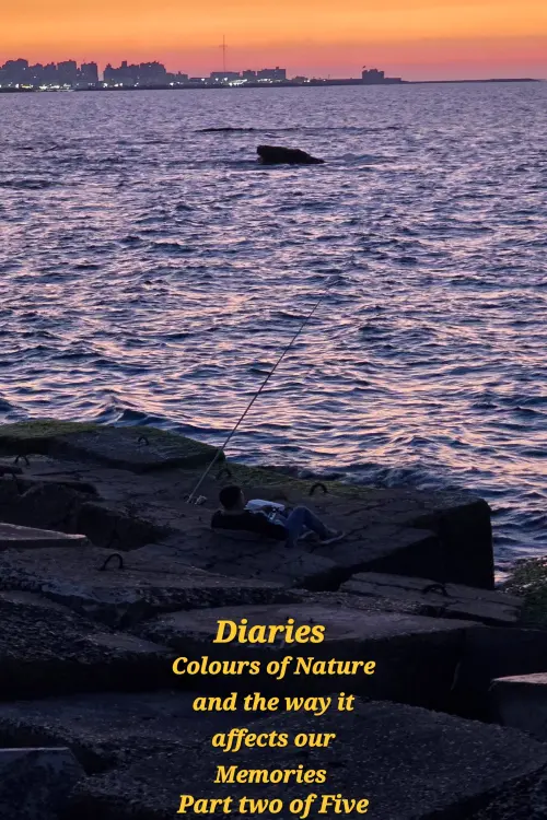 Movie poster "Diaries: Colours of Nature and the Way It Affects Our Memories. Part two of five"