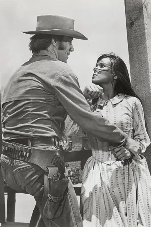 Movie poster "Heaven with a Gun"