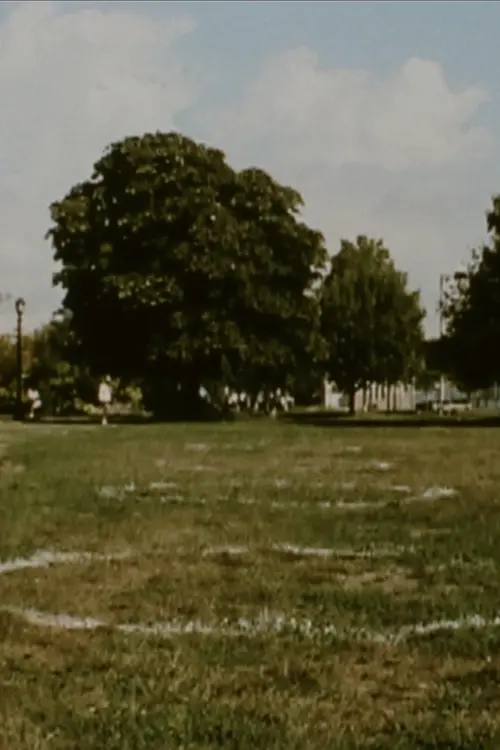 Movie poster "Lines Drawn"