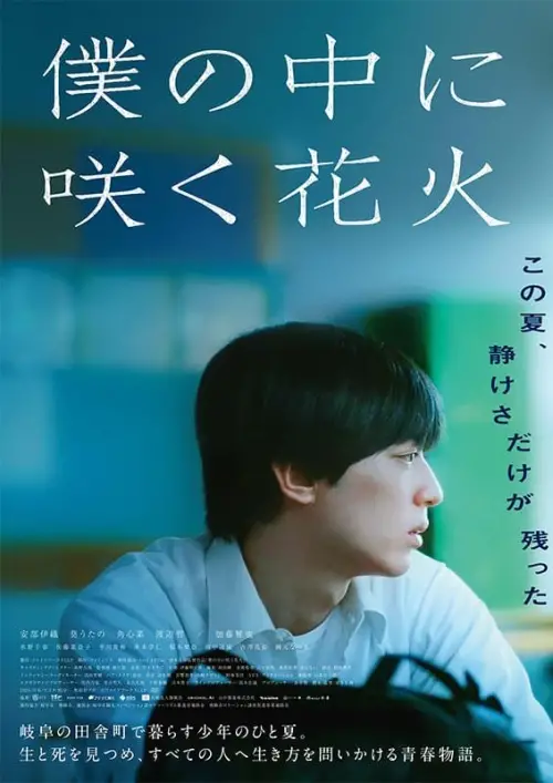 Movie poster "My Fireworks"