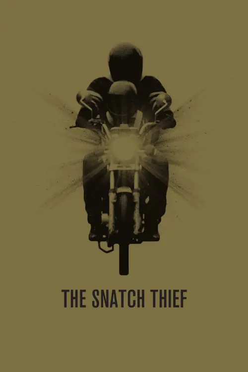 Movie poster "The Snatch Thief"