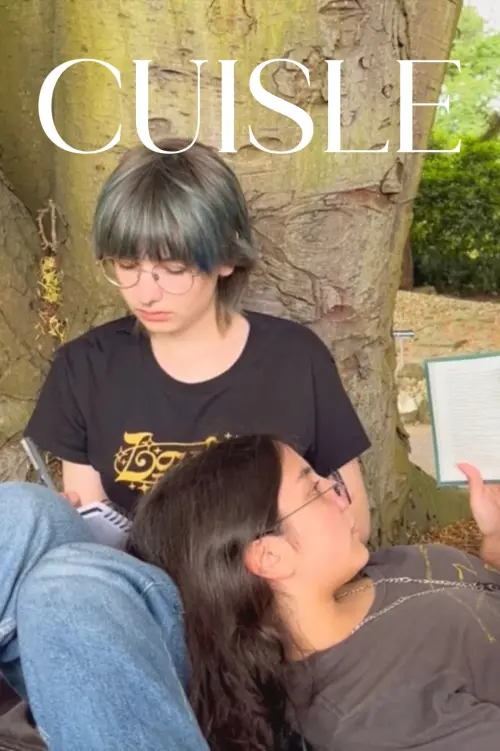Movie poster "Cuisle"