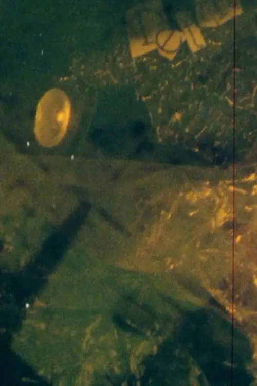 Movie poster "DETRITUS"