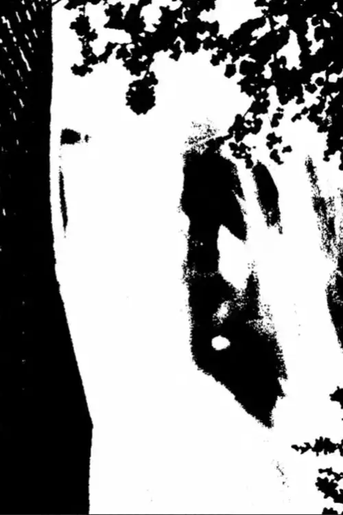 Movie poster "Intervals"