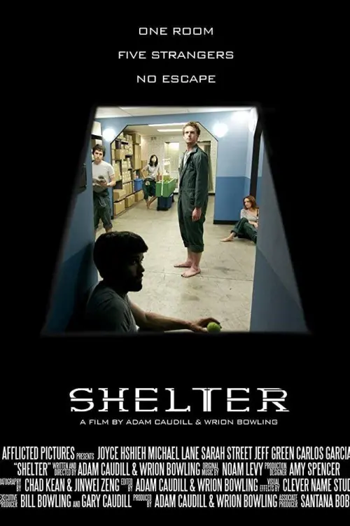Movie poster "Shelter"