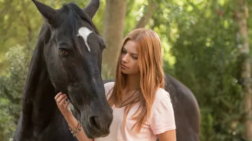 Watch film Windstorm 3 | 馬麻吉3：拯救綠洲 Windstorm and the Wild Horses_PV