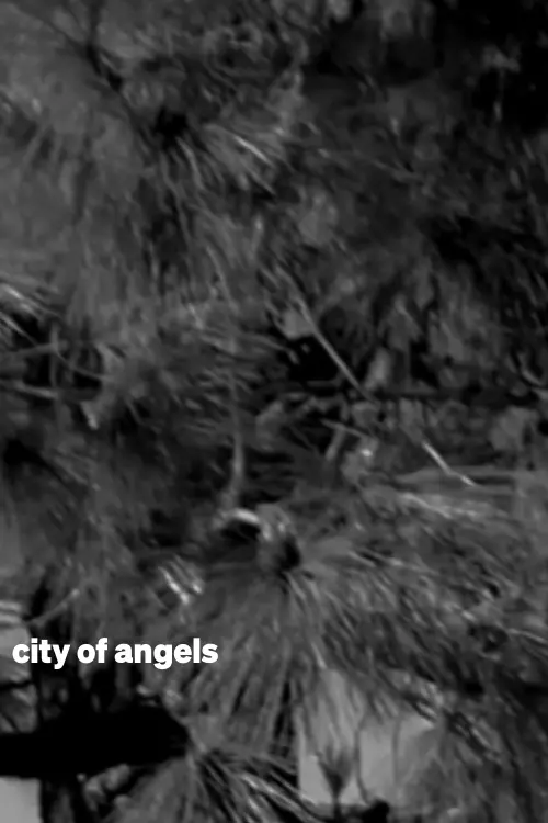 Movie poster "city of angels"