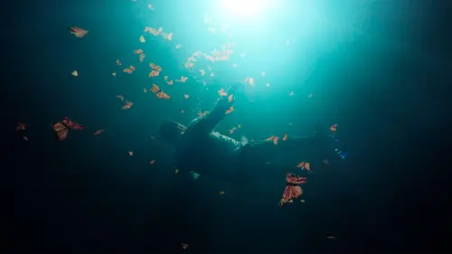 Watch film El guardi&aacute;n de las monarcas | Trailer [Subtitled]