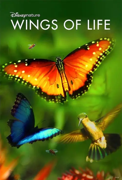 Movie poster "Wings of Life"