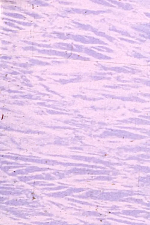 Movie poster "Angels