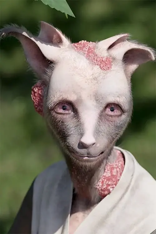 Movie poster "Preoperational Model"