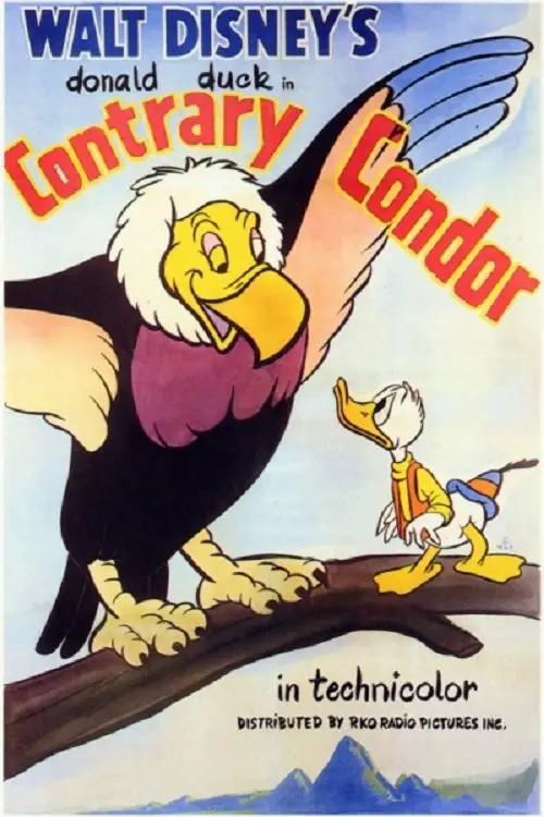 Movie poster "Contrary Condor"