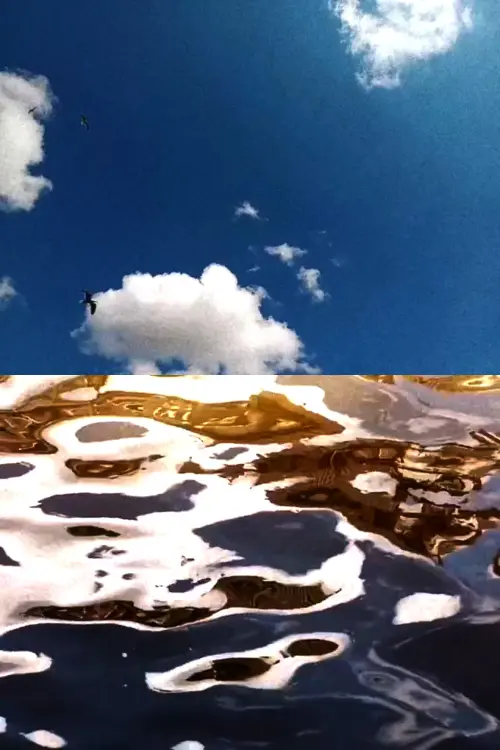 Movie poster "Landscape For Birds"