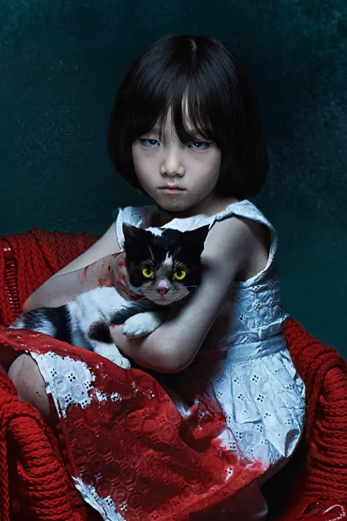 Movie poster "The Cat"