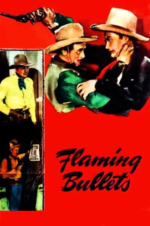 Movie poster "Flaming Bullets"