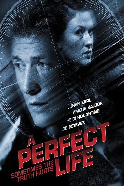 Movie poster "A Perfect Life"