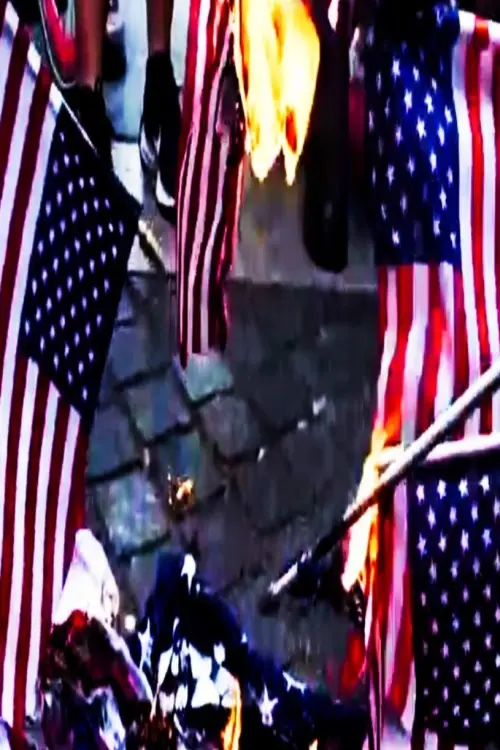 Movie poster "Naughty America: Guns & Stripes"
