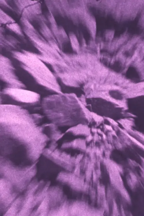 Movie poster "Second Slide"