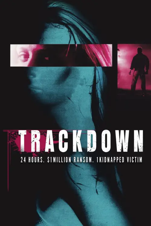 Movie poster "The Finder"